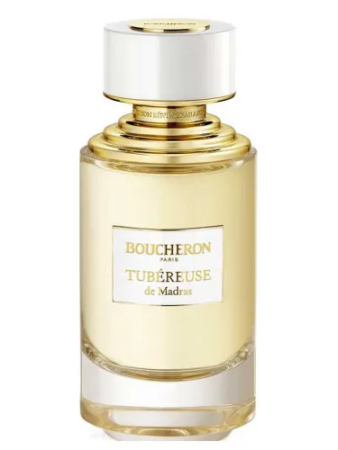 Tubéreuse De Madras