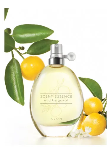Scent Essence - Wild Bergamot