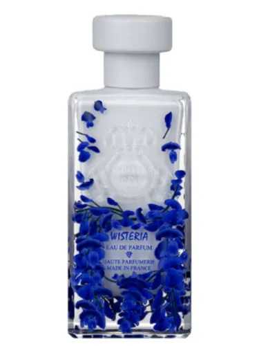 Wisteria