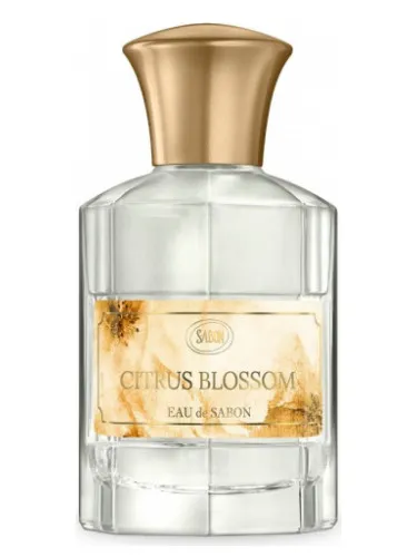 Citrus Blossom