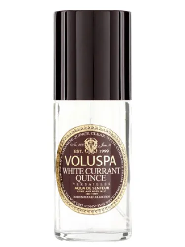 White Currant Quince Versailles