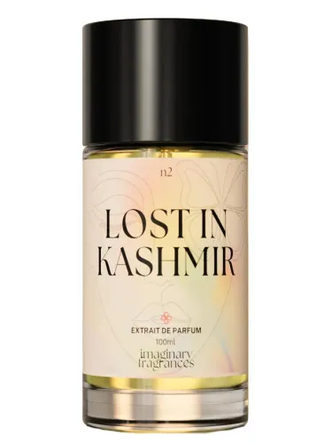 Lost In Kashmir