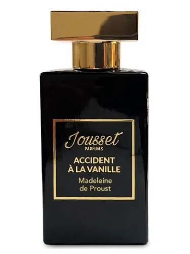Accident À La Vanille - Madeleine de Proust