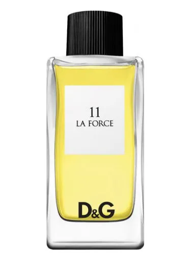 D&G Anthology La Force 11