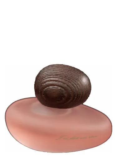 J'ai Fait Un Rêve Clair