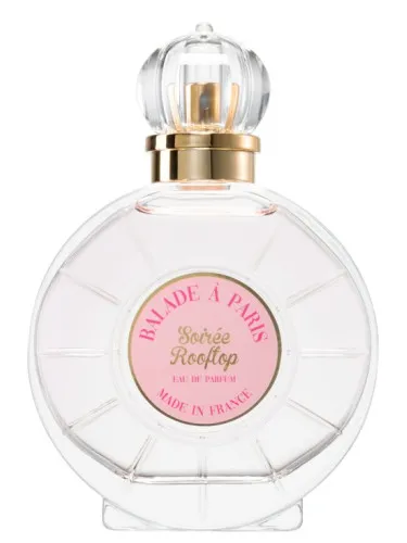 Balade à Paris Soirée Rooftop