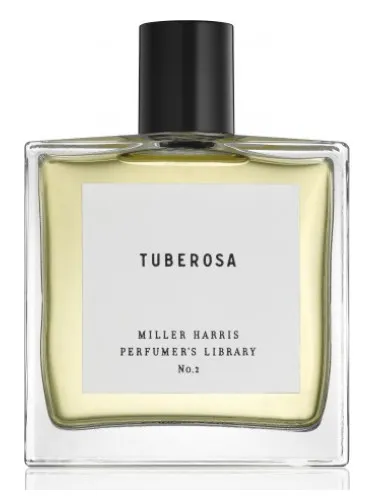 Tuberosa