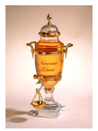 Narcisse Blanc