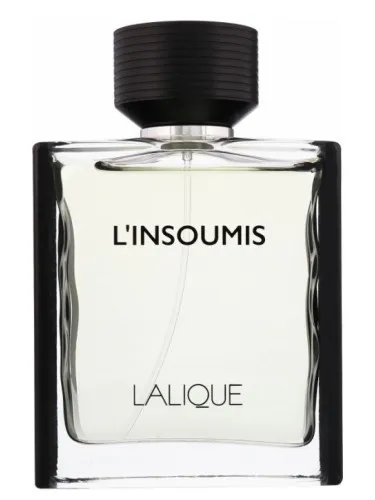L'Insoumis