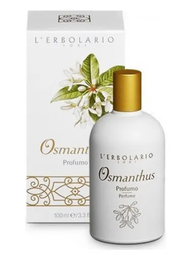 Osmanthus