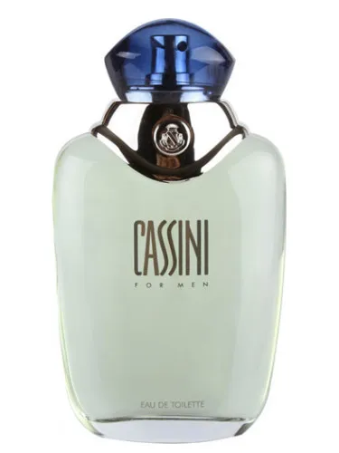 Cassini for Men