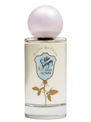 Chloë Sevigny Little Flower