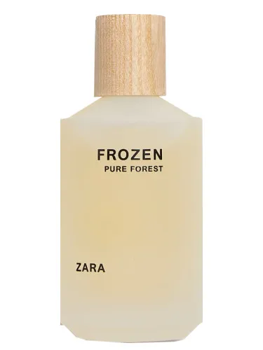 Frozen Pure Forest