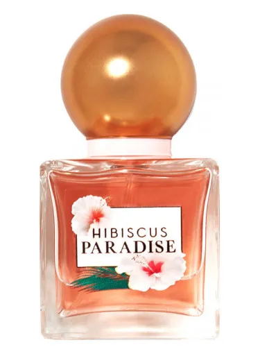 Hibiscus Paradise