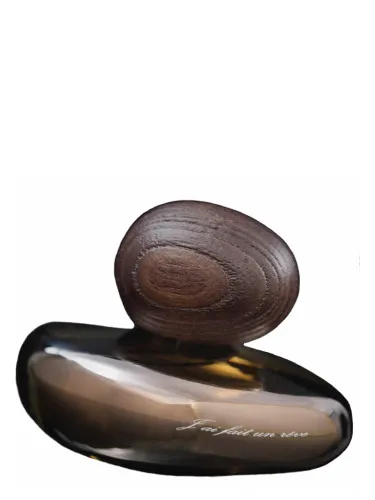 J'ai Fait Un Rêve Obscur