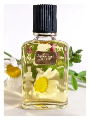 Zdravstvuy, leto (Hello, Summer)