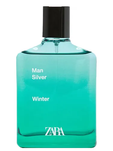 Man Silver Winter