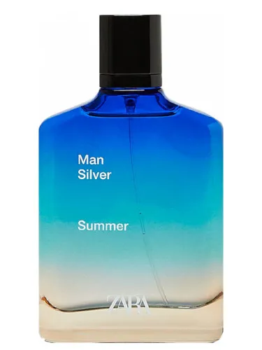 Zara Man Silver Summer 2020