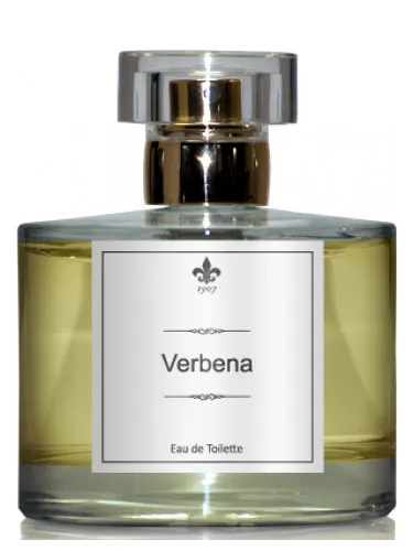 Verbena