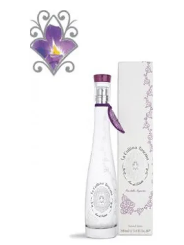 La Collina Toscana Iris of the Signory