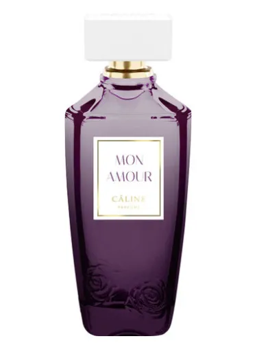 Mon Amour