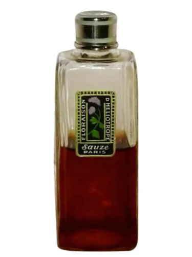 Floraison d'Heliotrope