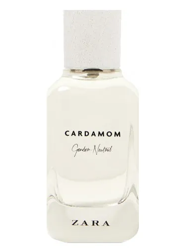 Cardamom - Gender Neutral