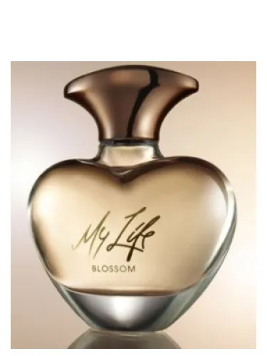 Mary J. Blige My Life Blossom