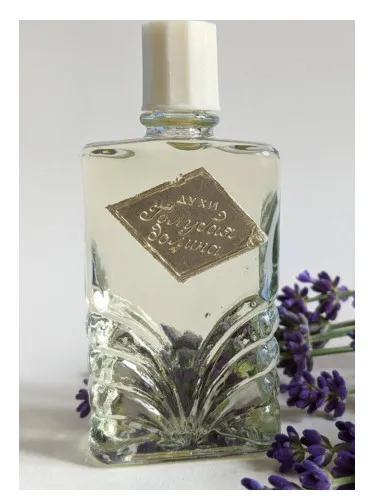 Golubaya dolina (Blue valley)