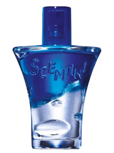 Scentini Nights Midnight Glow