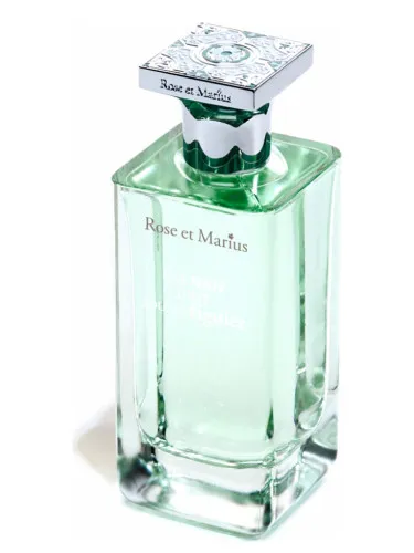 Une Nuit D'Éte Sous Le Figuier