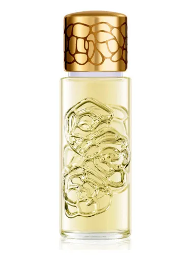 Quelques Fleurs Jardin Secret