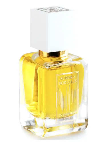 Polyarnaya noch — Polar Night