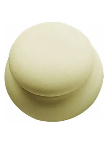 Autumn Woods 秋之森