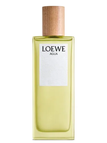 Agua de Loewe