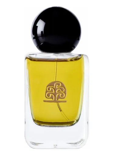 Hommage à Paul Klee Lights and Shadows