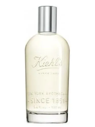 Aromatic Blends: Patchouli & Fresh Rose