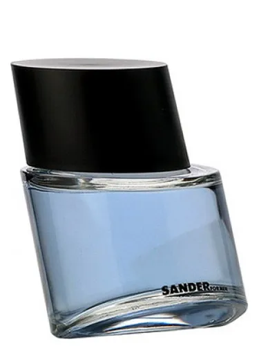 Sander for Men