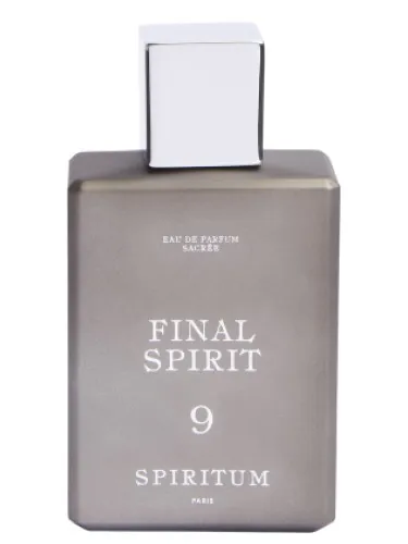 9 Final Spirit