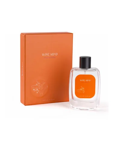 Wise Mind