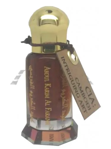 CIA: Cambodi Intriguing Art