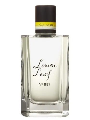 Lemon Leaf No.1821