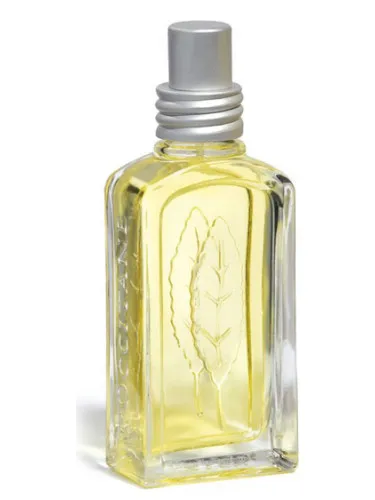 Verveine Agrumes 2008