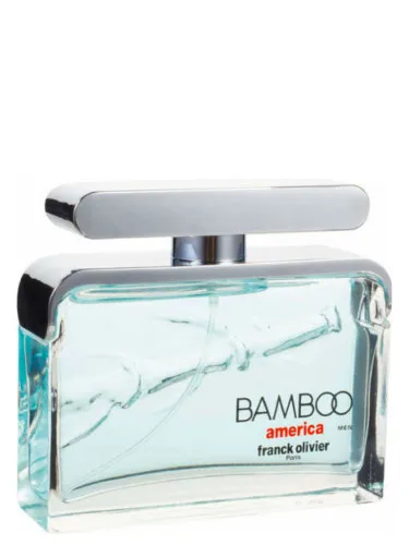 Bamboo America