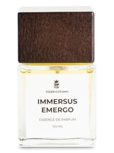 Immersus Emergo