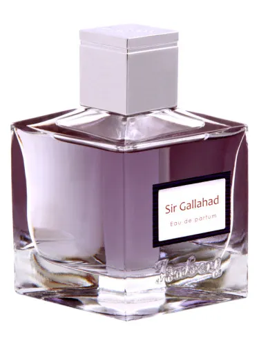 Sir Gallahad