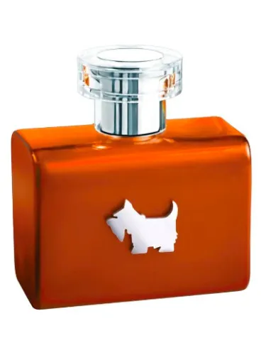 Terrier Orange