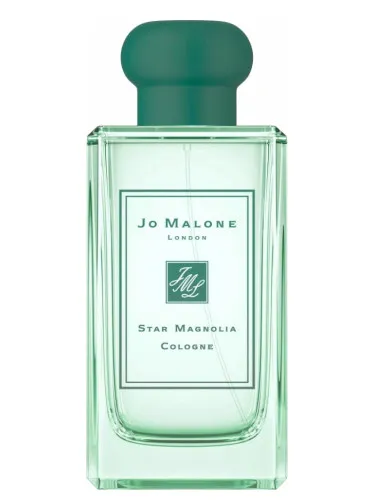 Star Magnolia Cologne (2019)
