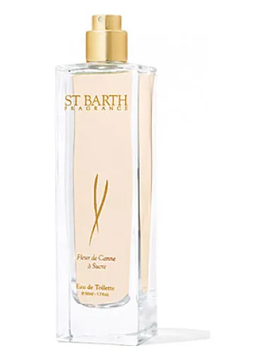 Fleur de Canne a Sucre