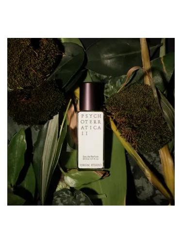 Psychoterratica II 2020